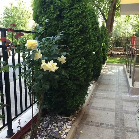 Apartment Lev Ravda